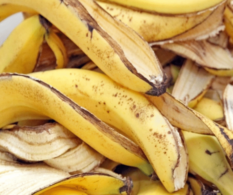 How to Use Banana Peels and Boric Acid to Control Ants Naturally in Your Garden