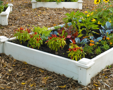 Stunning Raised Garden Beds to Enhance Your Landscaping