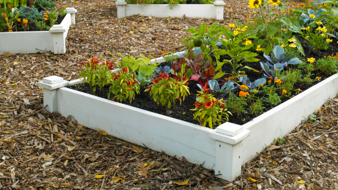 Stunning Raised Garden Beds to Enhance Your Landscaping