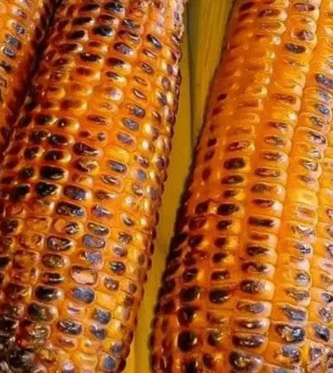 11 Little-Known Secrets About Eating Grilled Corn — Even If You Love It, Remember These