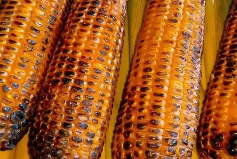 11 Little-Known Secrets About Eating Grilled Corn — Even If You Love It, Remember These