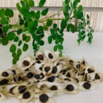 Say Goodbye to Blocked Arteries with These Powerful Foods