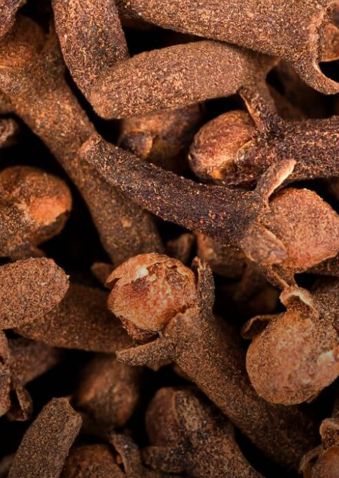 How to Use Cloves Against Bedbugs: A Practical, Step-by-Step Guide