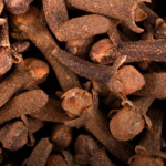 How to Grow Oranges in Pots: A Complete Guide to Home Citrus Growing