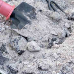 Geraniums: If you do this at least once a month, they will bloom continuously.