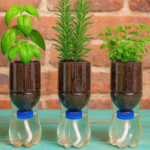 The Joint and Mobility Crisis Quietly Worsening After 50