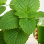 8 Superfoods That Clean Your Kidneys Like Nature’s Dialysis