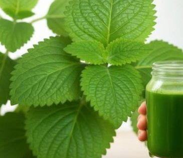 Did You Know 83% of Seniors Over 65 Are Told