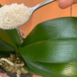 8 Uses for Wood Ash in the Home and Garden