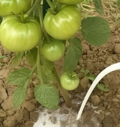 Mix 1 tbsp dry yeast + 1 tbsp sugar into 4 cups of warm water.