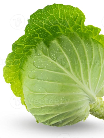 Cabbage Leaf Miracle: How to Relieve Joint Pain Overnight Naturally