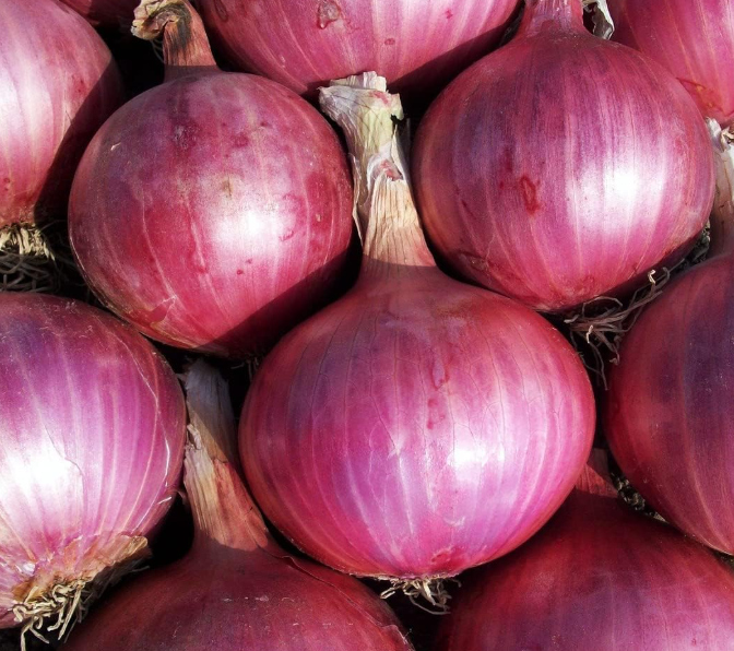 Never Throw Away Onion Peels: A Natural Treasure for Thriving Plants