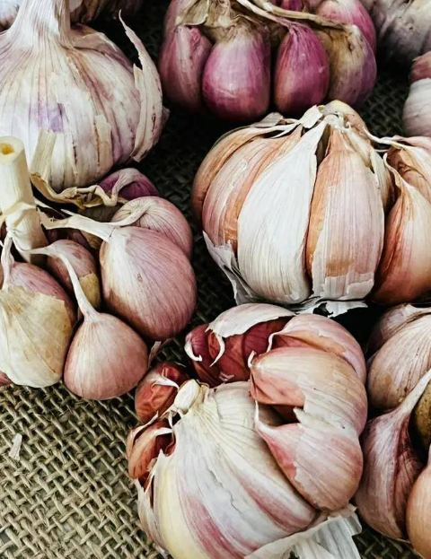 The Remarkable Power of Garlic for Foot Health: Benefits and Homemade Uses