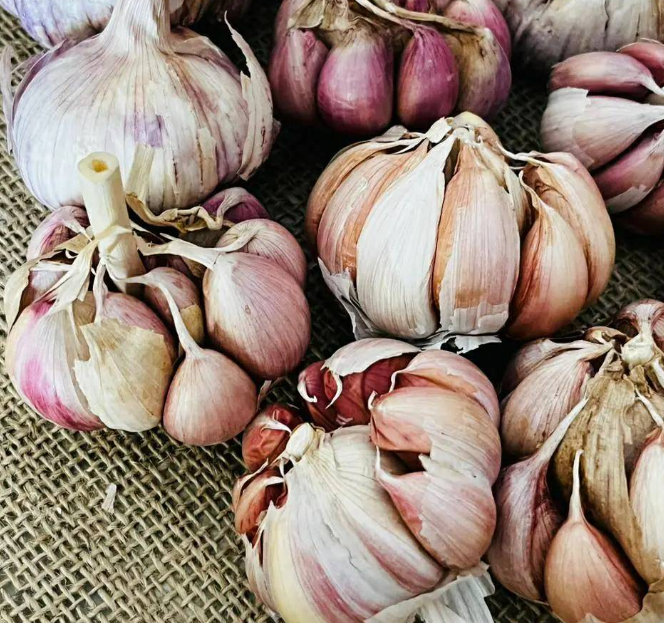 The Remarkable Power of Garlic for Foot Health: Benefits and Homemade Uses