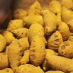 No Man Should Die From Prostate Cancer: The Natural Remedy Every Man Should Know