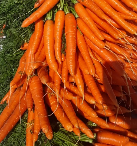 Revitalize Your Liver and Gut in Just 3 Days: Unlock the Power of Lemon and Carrot Detox