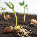 DIY SELF-WATERING BOTTLE PLANTER