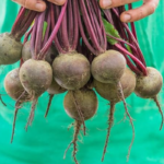 This Heals Your Thyroid in Just 3 Days