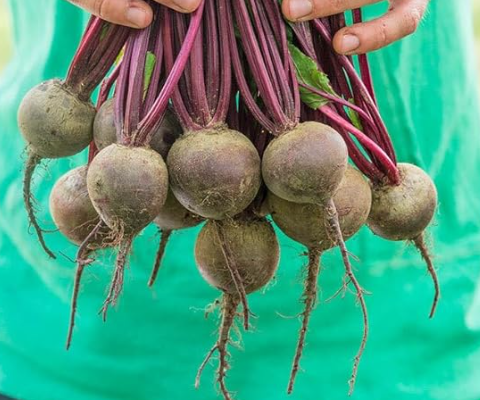 13 Powerful Things That Happen to Your Body When You Drink Beet Juice