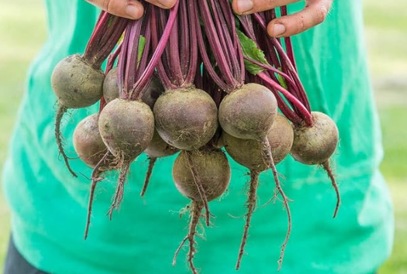 13 Powerful Things That Happen to Your Body When You Drink Beet Juice