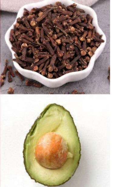 The Ultimate Guide to Beetroot: Benefits, Uses, and Creative Ways to Enjoy It