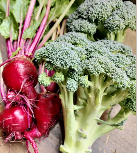 12 Silent Warning Signs of Liver Trouble You Shouldn’t Ignore: What to Watch For and Why