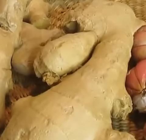 I Haven’t Been Sick for 35 Years — My Mind Is Clear, My Vision Is Sharp, and My Blood Pressure Is Steady: The Garlic & Ginger Habit That Changed Everything