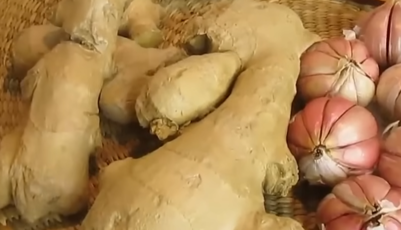 I Haven’t Been Sick for 35 Years — My Mind Is Clear, My Vision Is Sharp, and My Blood Pressure Is Steady: The Garlic & Ginger Habit That Changed Everything