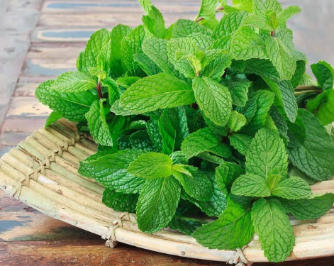 Say Goodbye to Blocked Arteries with These Powerful Foods