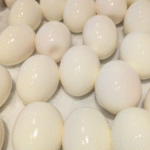 Cabbage Leaf Miracle: How to Relieve Joint Pain Overnight Naturally