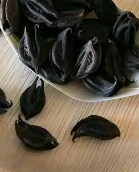 The seed that emptied hospitals because it cures cancer, diabetes, high blood pressure, and poor circulation