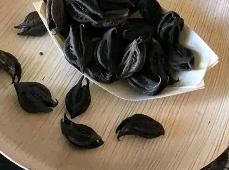 The seed that emptied hospitals because it cures cancer, diabetes, high blood pressure, and poor circulation