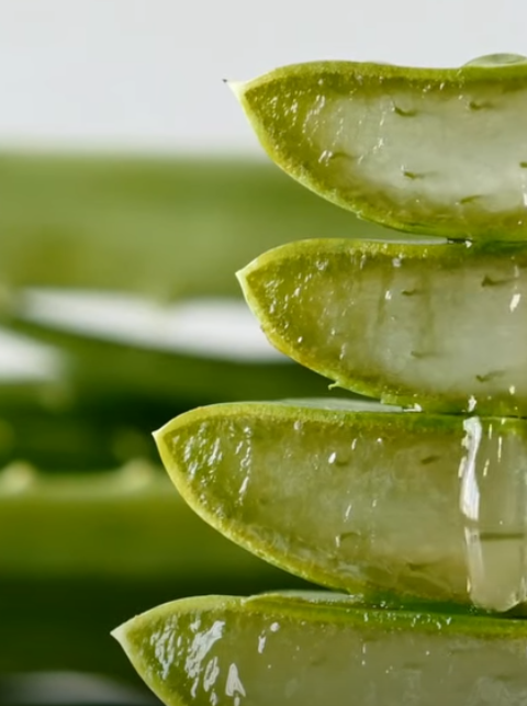 Aloe Vera with Cinnamon: The Home Remedy That Protects Your Health and Vision