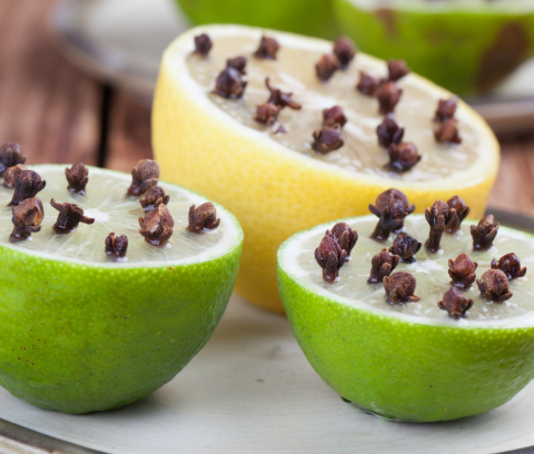 A Simple and Effective Way to Grow Cloves at Home for Natural Fragrance