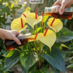 A keyhole garden feeds itself from a built-in compost basket at the center.