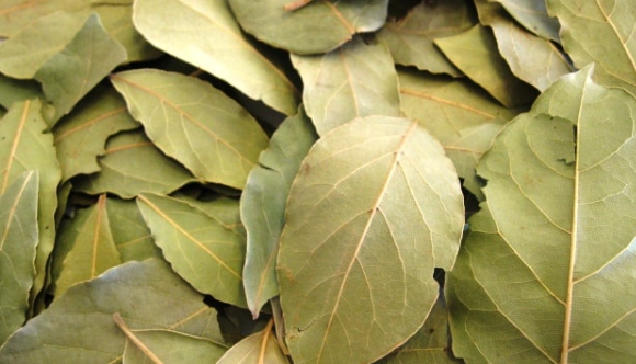 Bay Leaf Is 100,000 Times Stronger Than Botox?