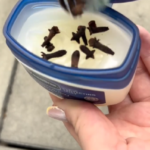 5 Foods That May Help Your Brain Feel Younger