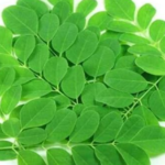 Tired of battling dull, greasy hair or a flaky scalp