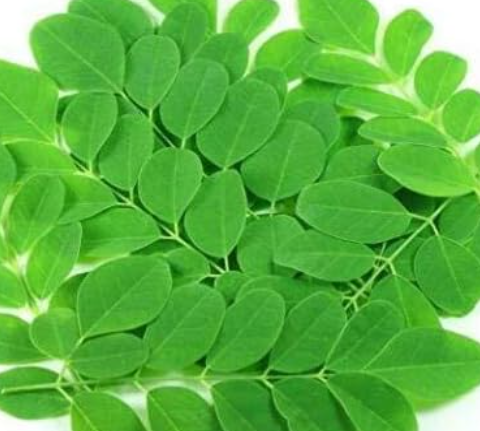 Sida Rhombifolia: A Traditional Herb for Wellness Support and Safety Tips