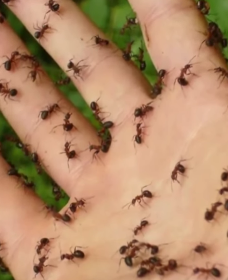 8 Silent Signs of Nerve Damage Starting in Your Toes You Might Be Ignoring