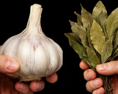 Rub This on Your Legs and Watch the Magic Happen: A Simple Oil That Boosts Circulation and Soothes Varicose Veins