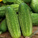 8 Conditions Linked to Drooling While Sleeping You Should Get Checked