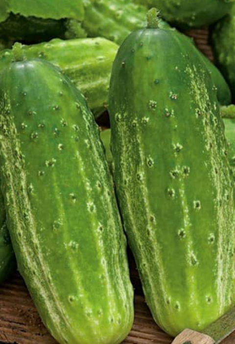 What Doctors Really Say About Eating Cucumber in Salads Every Day