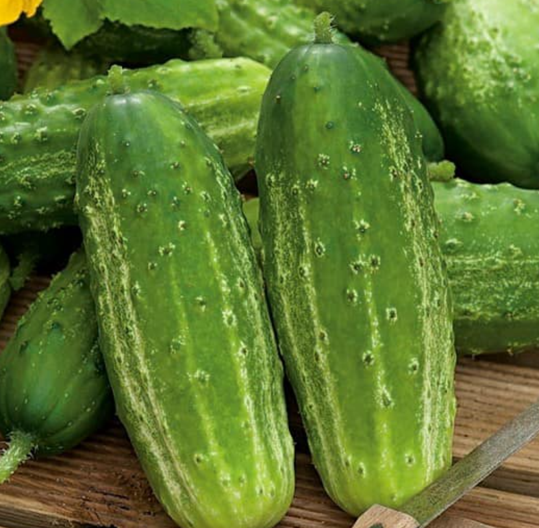 What Doctors Really Say About Eating Cucumber in Salads Every Day
