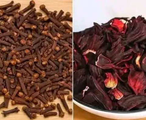 The Avocado Seed & Hibiscus Elixir That Quietly Resets Your Body After 40