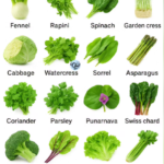 12 Expert Tips For Growing Bigger, Healthier Onions At Home