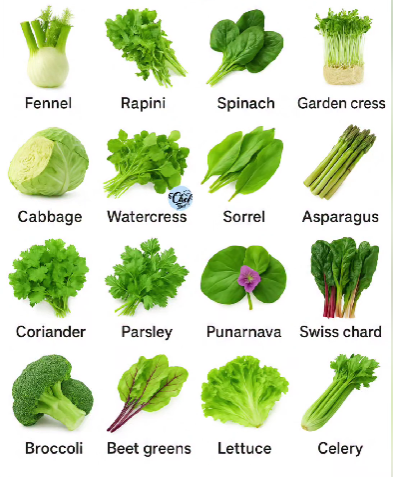 13 Fast-Growing Vegetables You Can Harvest In Under 30 Days