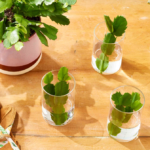 A Generation of Hungry: Rediscovering Spiritual Power, Purpose, and Awakening