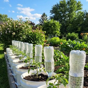 Gardening and DIY ideas