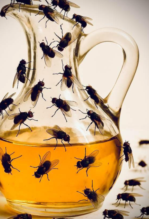 A Generation of Hungry: Rediscovering Spiritual Power, Purpose, and Awakening